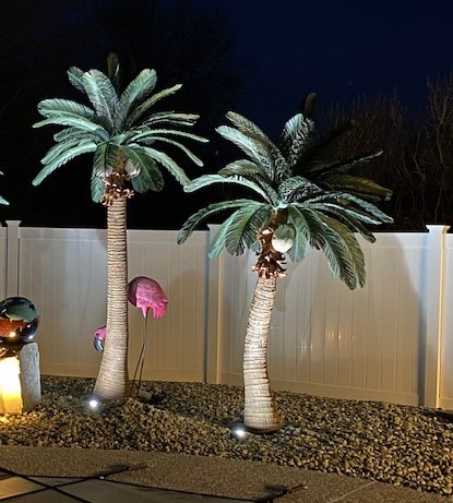 <p>Tropical Expressions Queen Palm Trees will turn your backyard into a resort. Don't forget to up light your palms<br>Left to right:&nbsp; 11' Queen Palm, 9' Curved Queen Palm</p><p> </p>                                                             